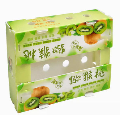 PP 플라스틱	과실 포장 박스 중공판 전환 박스 반대 정전기